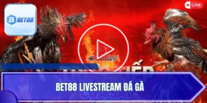 Bet88 Livestream Đá Gà - Trải Nghiệm Trường Đấu Chất Lượng