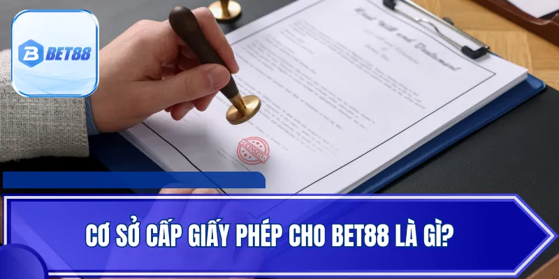 Cơ sở cấp giấy phép cho BET88 là gì?